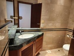The Draycott (D10), Apartment #466955681